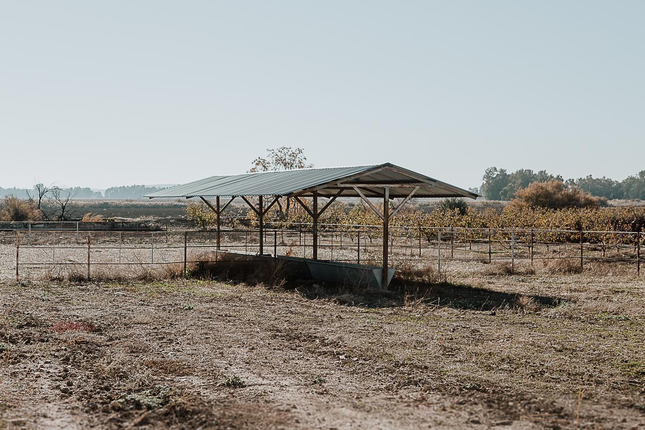 Vila Cortijo Santa Clara Carmona  Exteriér fotografie